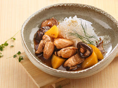 XNDO - TERIYAKI CHICKEN ZERO™ NOODLES 300G │ 日式照燒雞肉無憂蒟蒻麵
